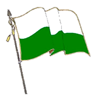 Bandera Institucional